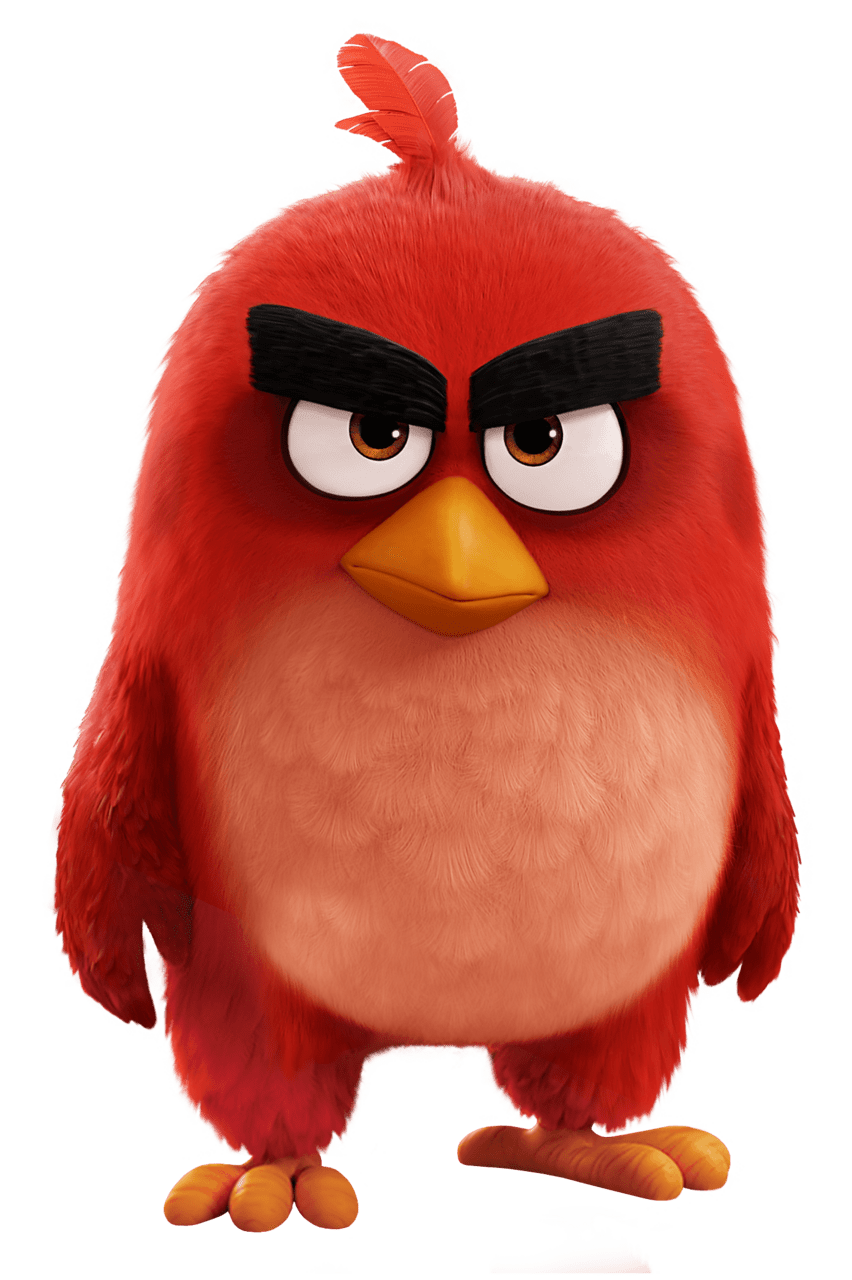 Cardinal top red angry bird ideas and inspiration clipart image