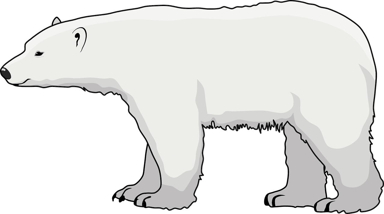 Polar bear vector art graphics clipart