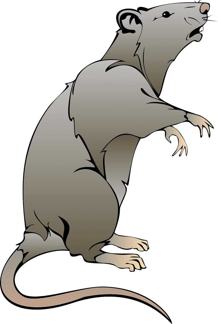 Mice mouse gray rat vector graphic clipart