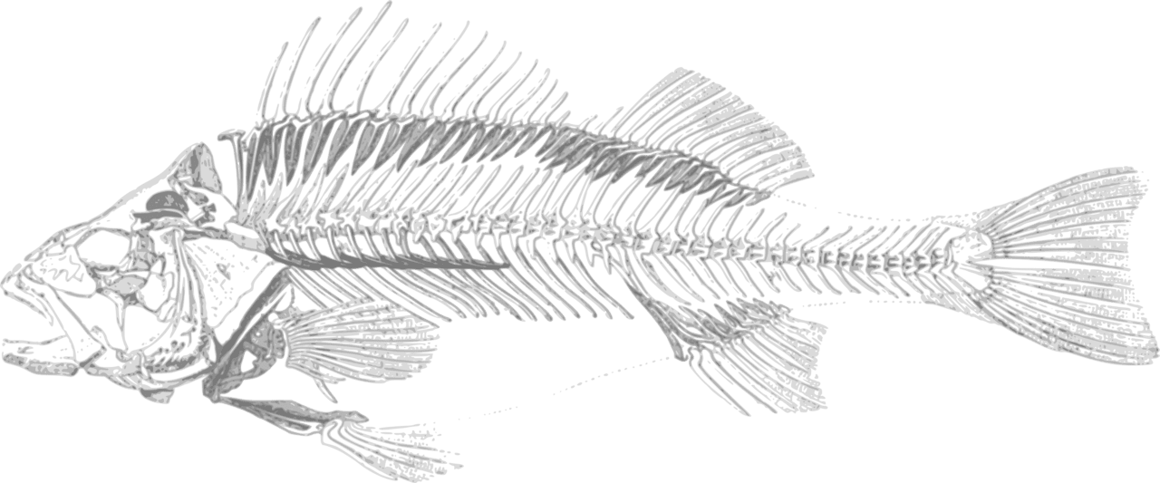 Fish black and white dead drawing clipart background