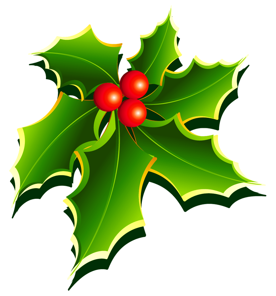 Mistletoe clipart photo