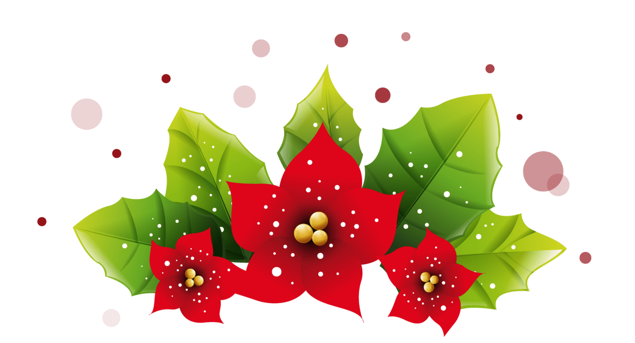 Poinsettia christmas poinsetta decoration picture clipart