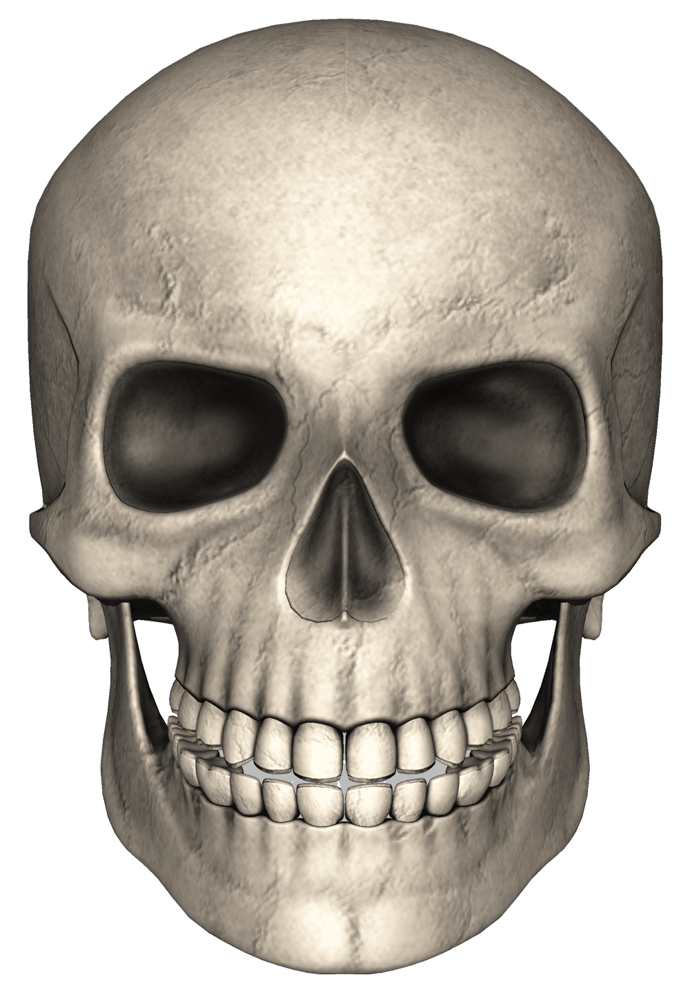 Bone skull clipart image 2