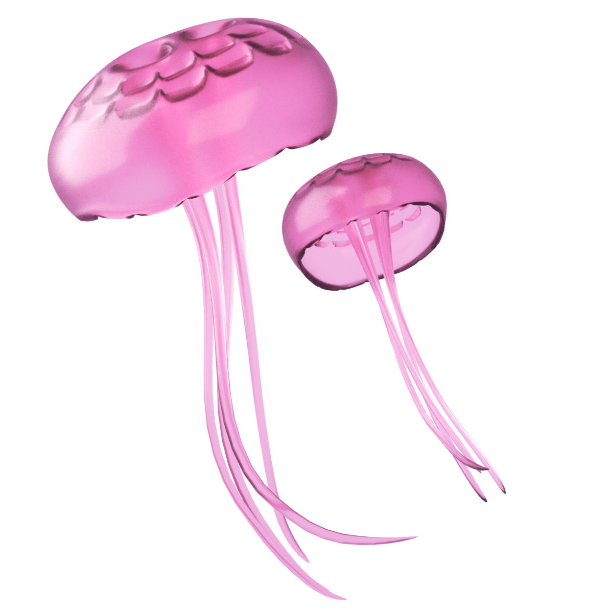 Jellyfish images clipart