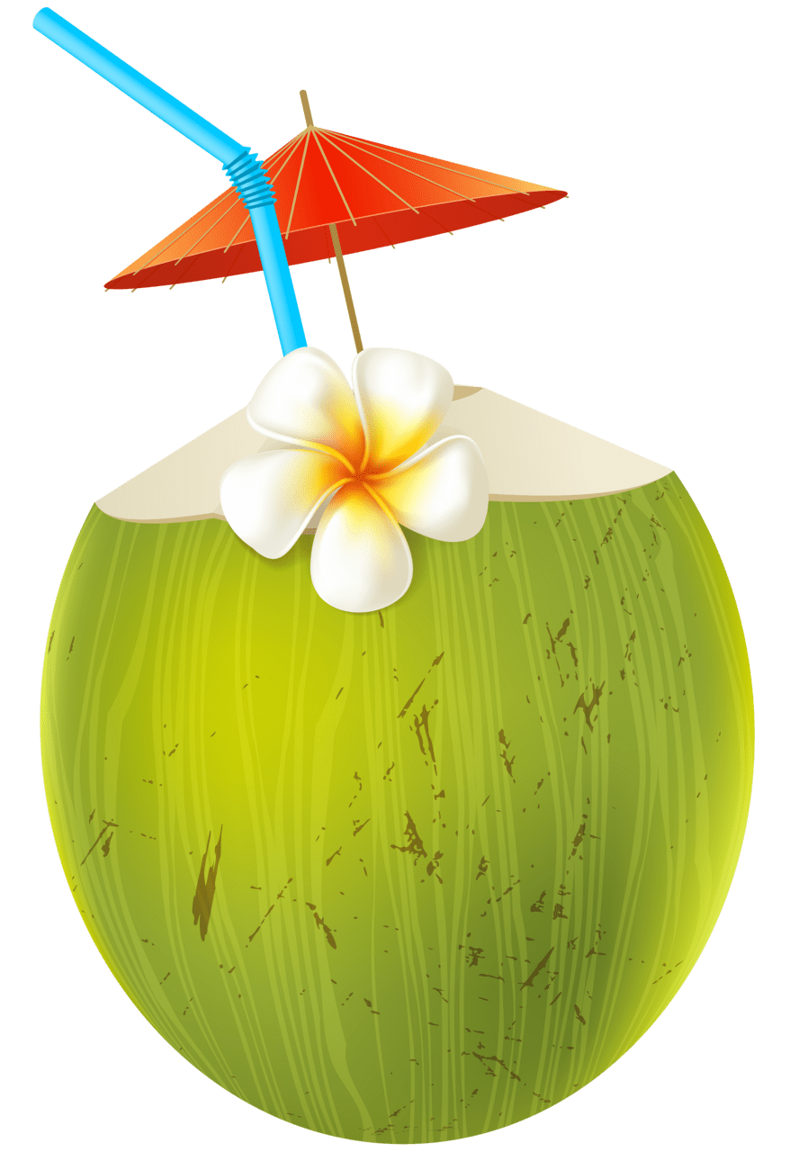 Drink coconut coctail clipart image