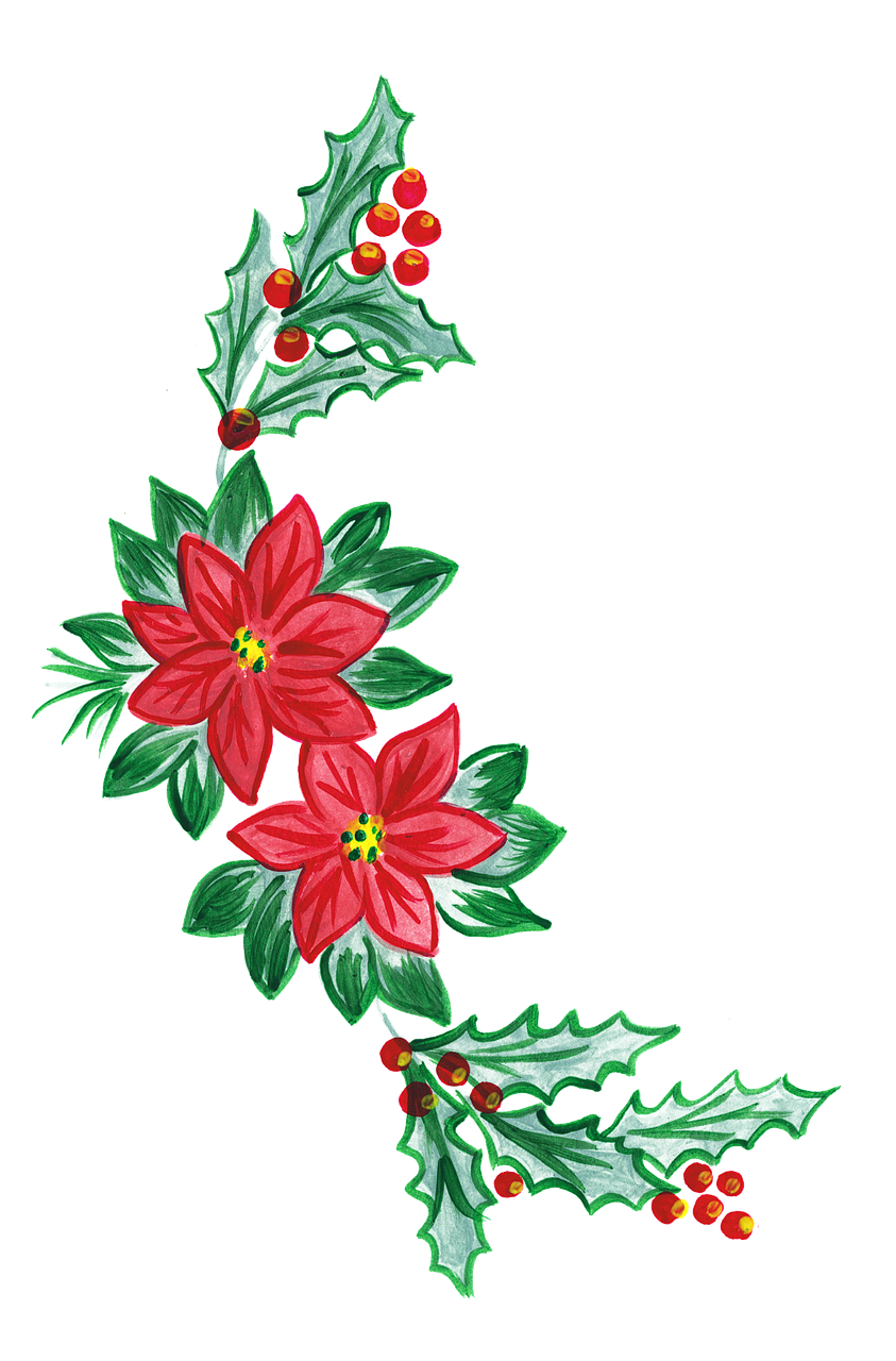 Poinsettia christmas clea kis clipart transparent