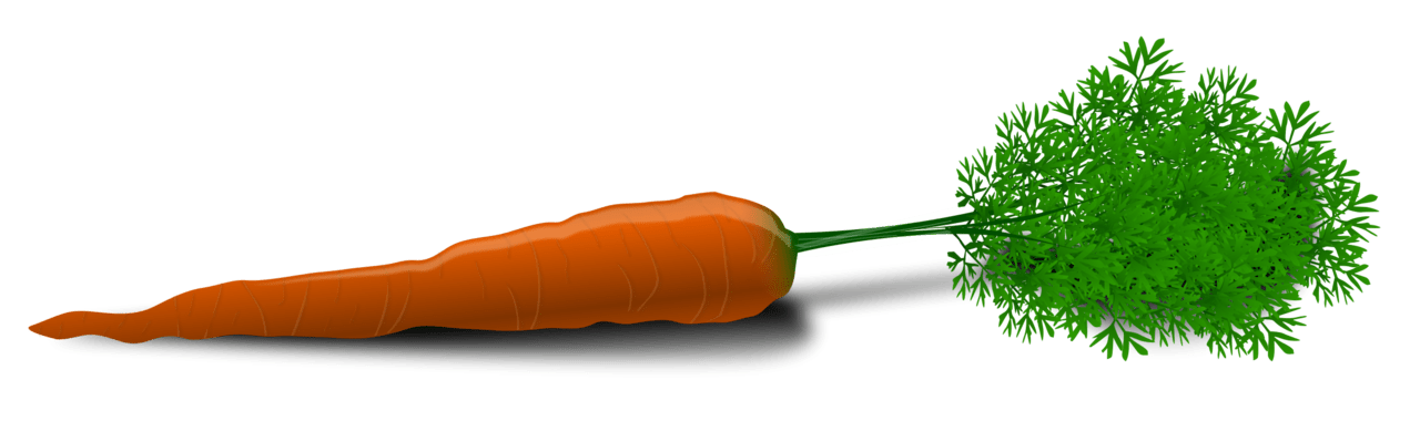 Vegetable carrot clipart image 2