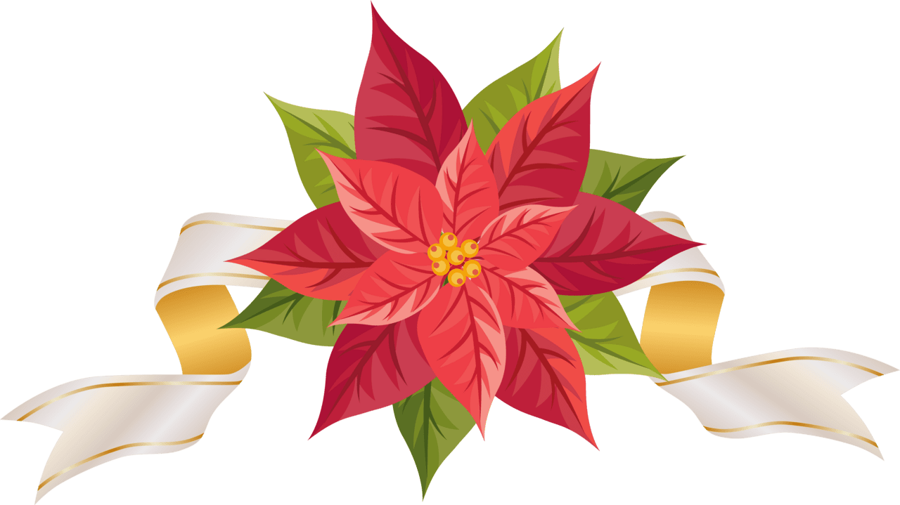 Christmas poinsettia cave clipart transparent