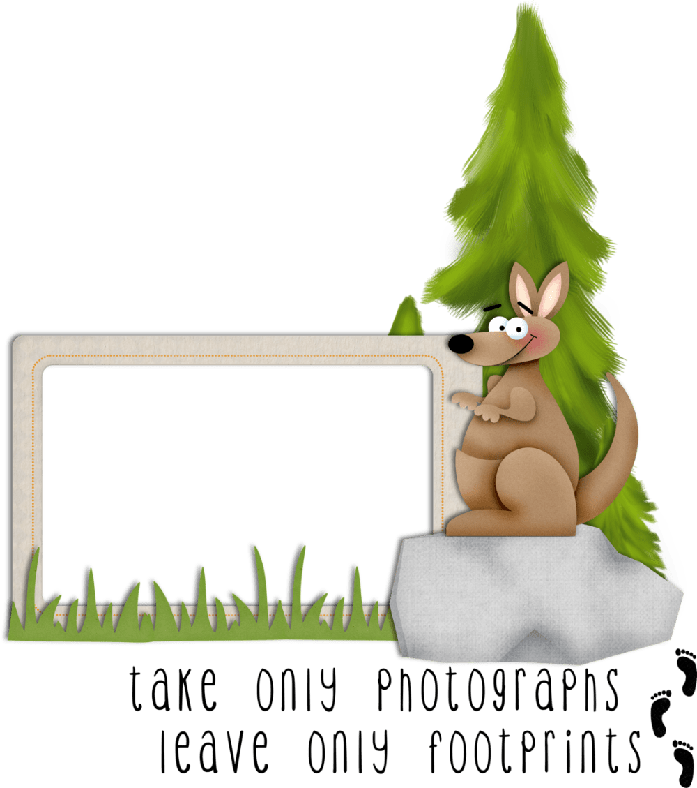 Kangaroo clipart picture 2