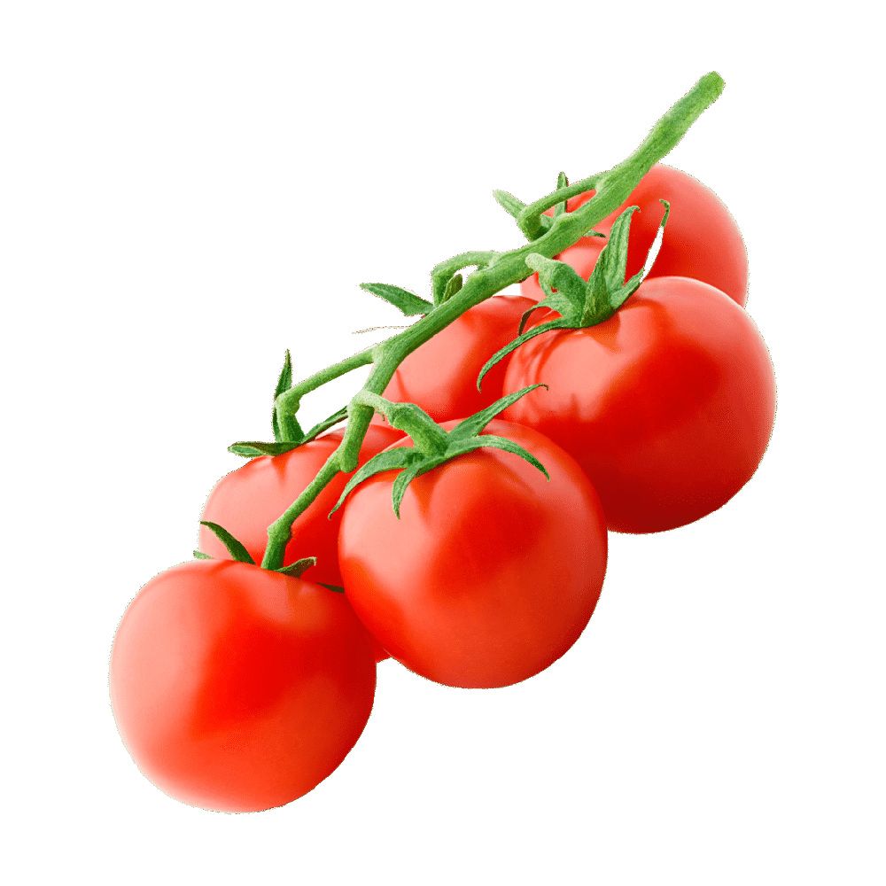 Tomato berry images hd photo clipart