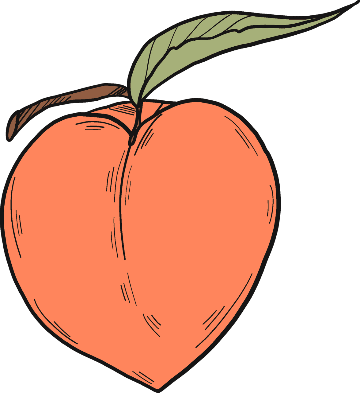 Peach vector clipart images 2