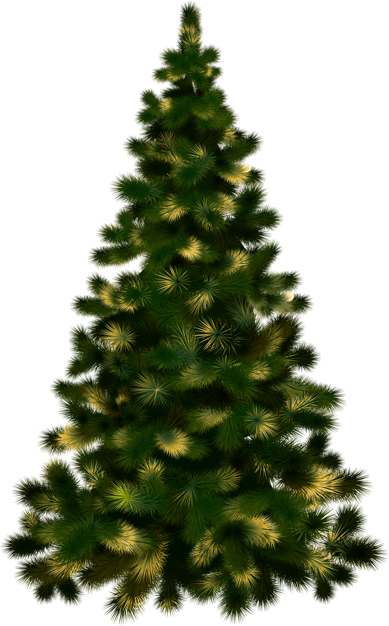 Pine tree christmas without lights clipart logo