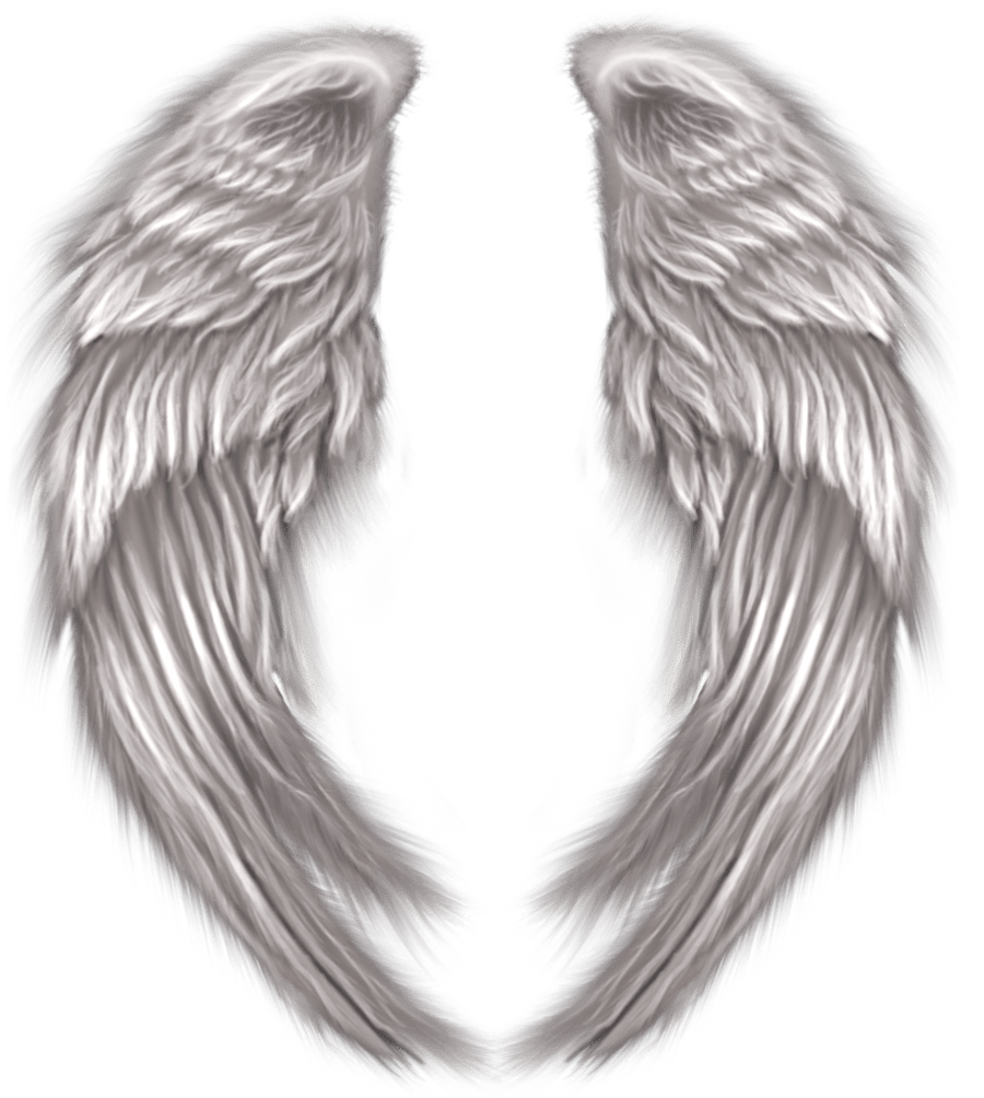 Angel wings pin page clipart background