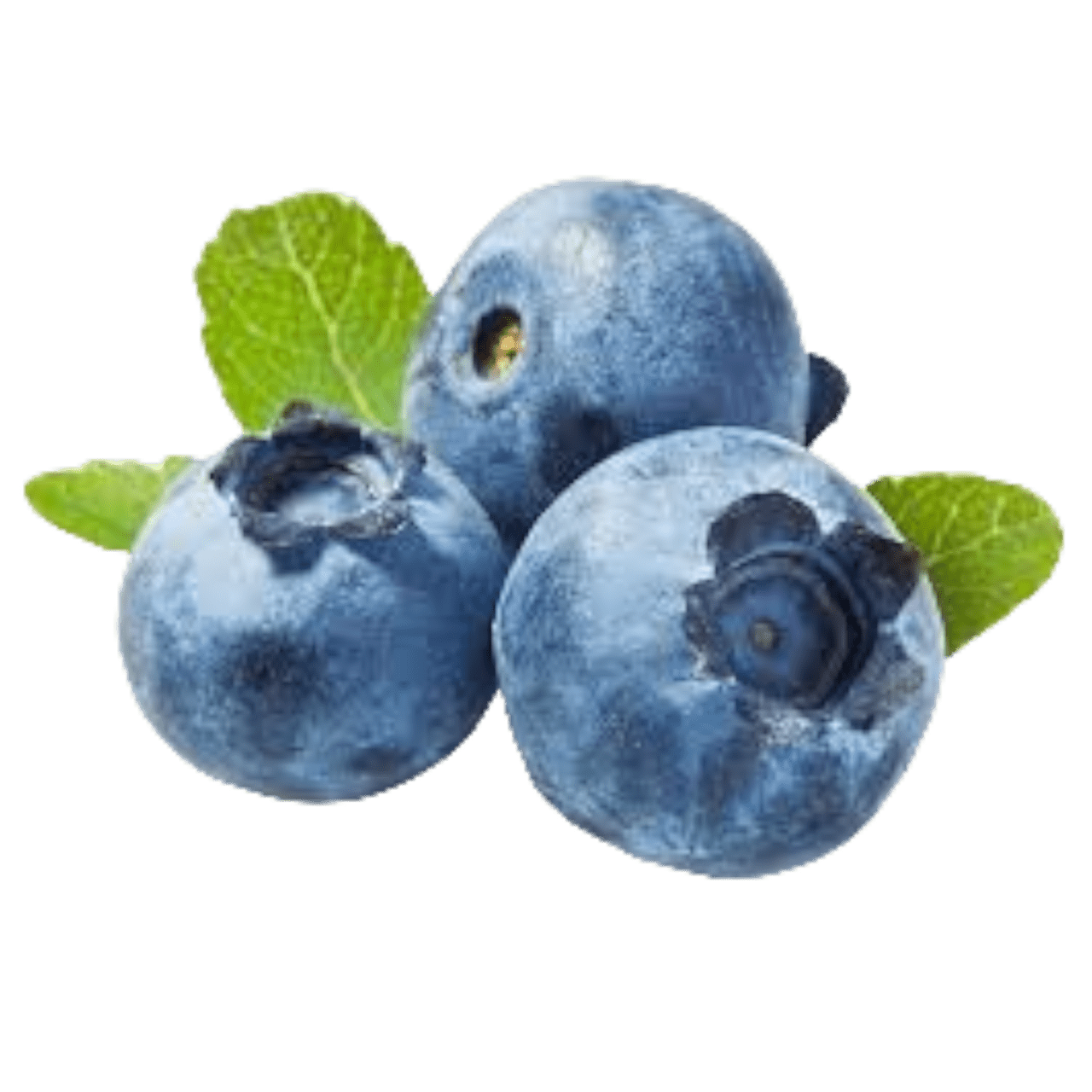 Blueberry balsamic egar myrtille probl me de sant creatif clipart picture