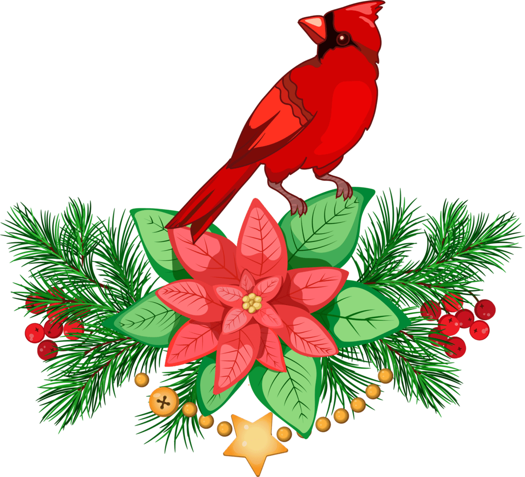 Christmas arrangement with cardinal bird fir branches poinsettia ball garlands and bells merry clipart winter decor logo