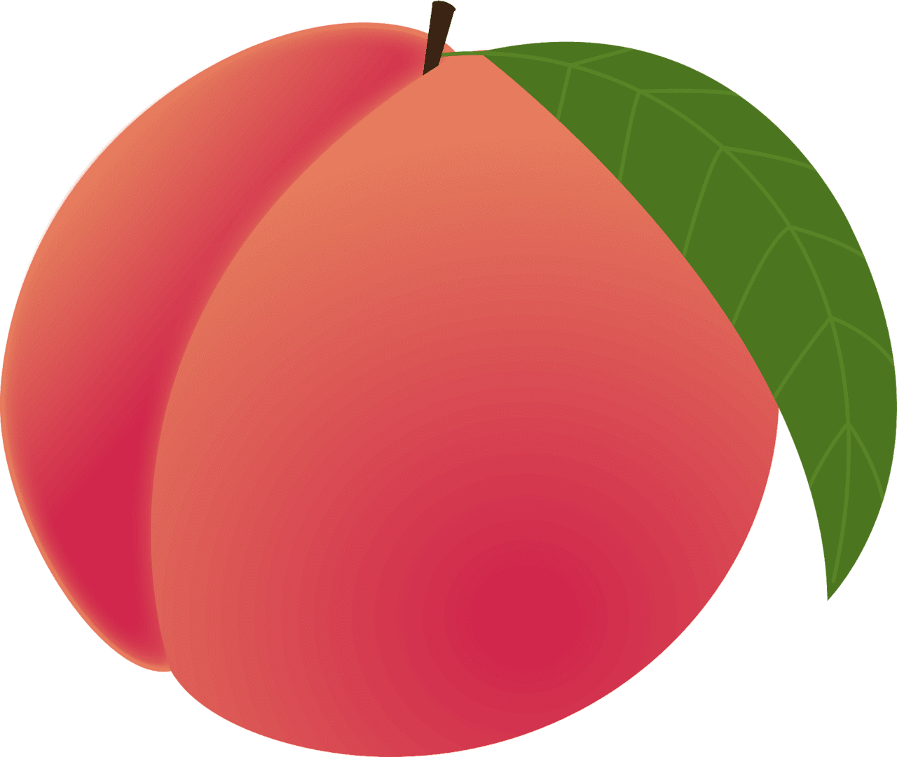 Peach vector clipart images