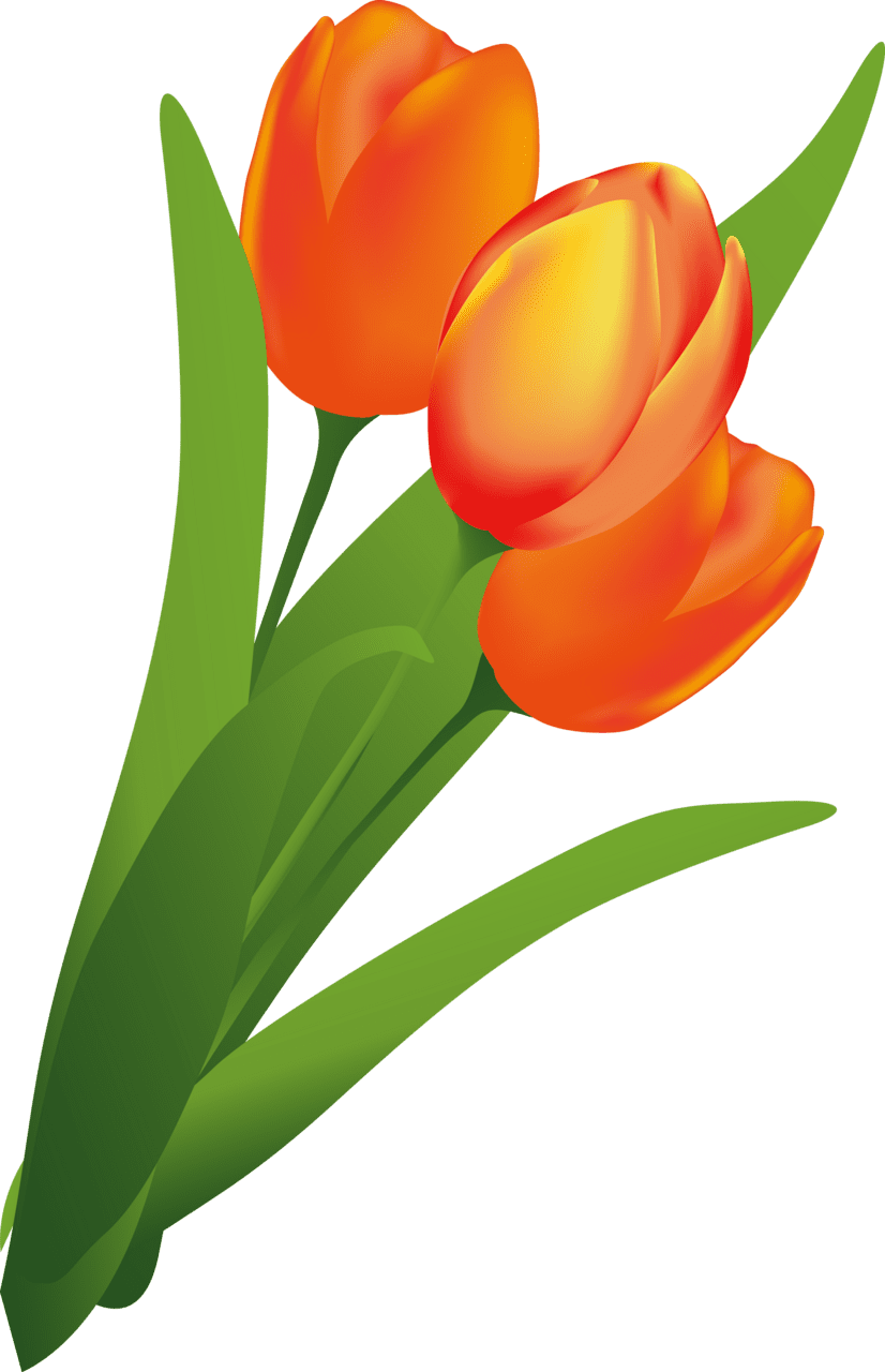 Tulip pin page clipart vector 4