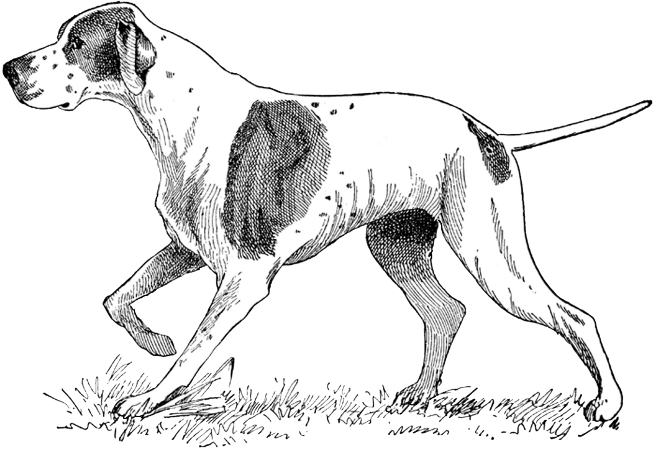 Canine vintage digital stamp dog clipart background