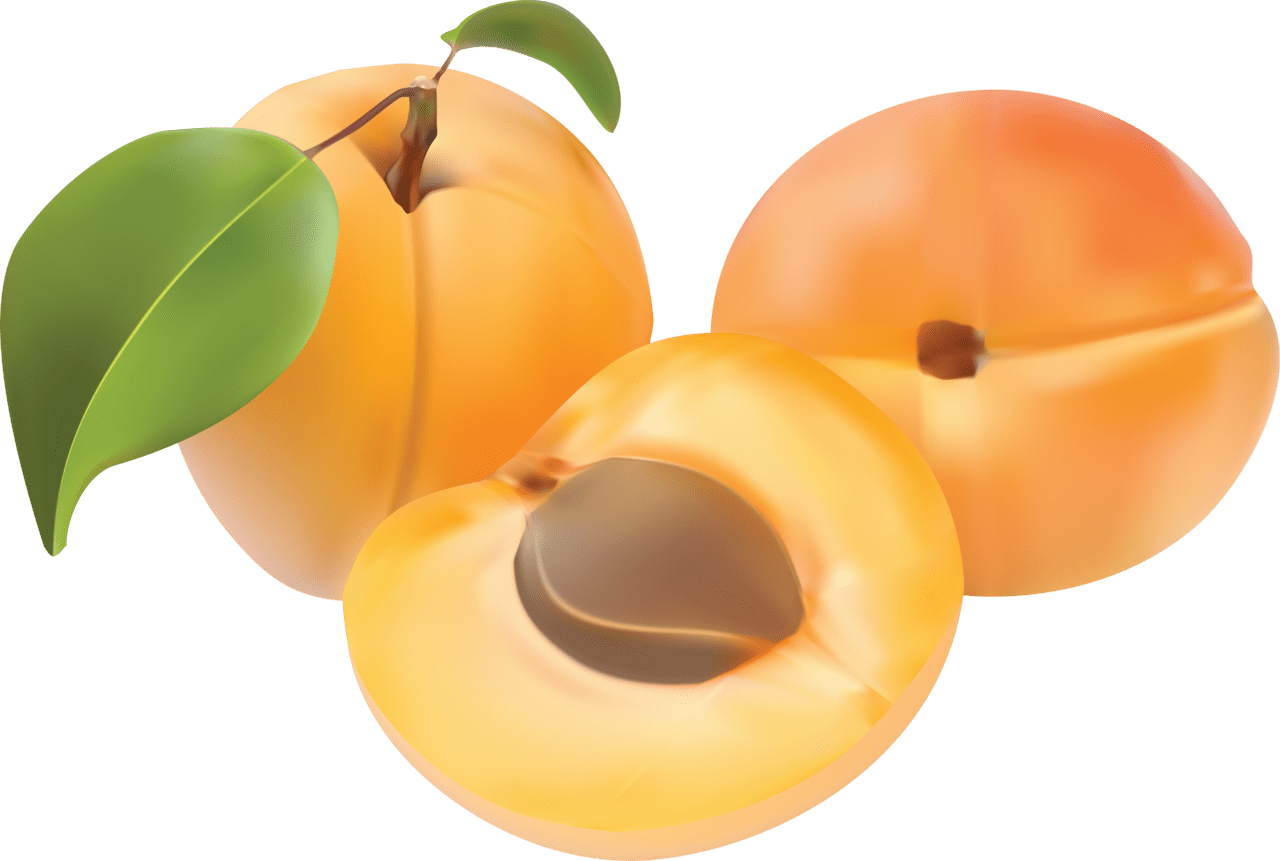 Peach es image cc library clipart