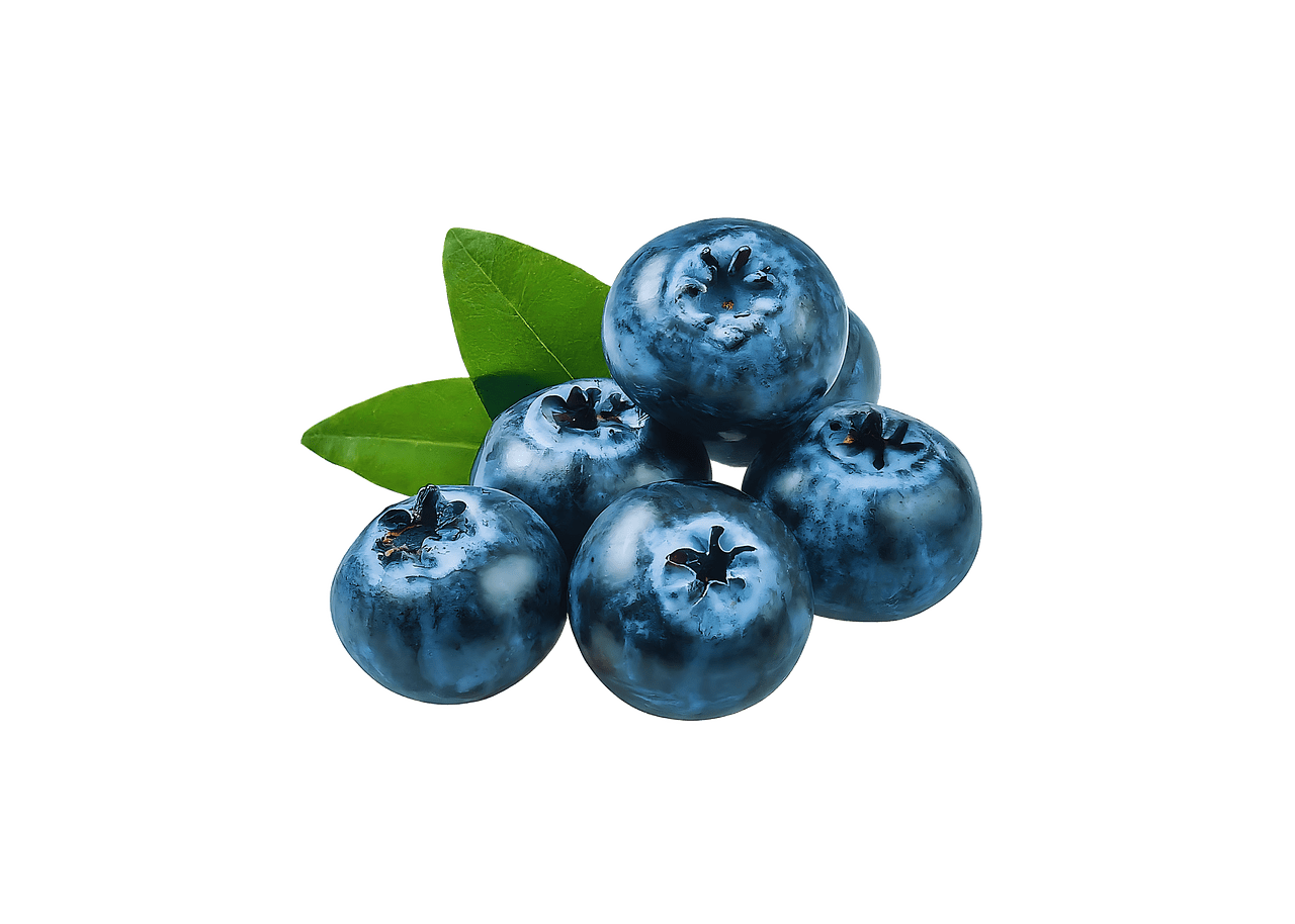 Blueberry blueberries leaves image clipart