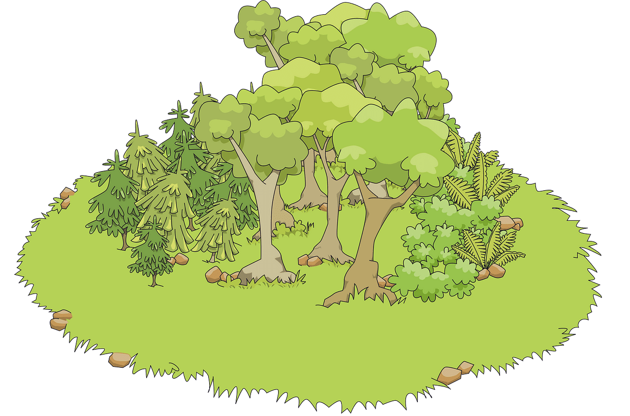 Forest vector clipart images