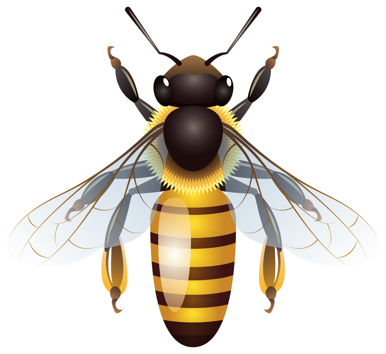 Fly bee clipart logo