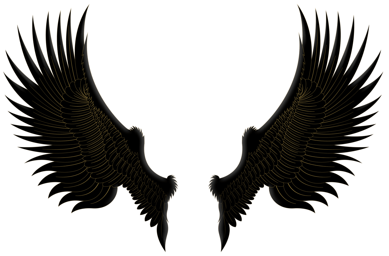 Angel wings black gold clip image clipart