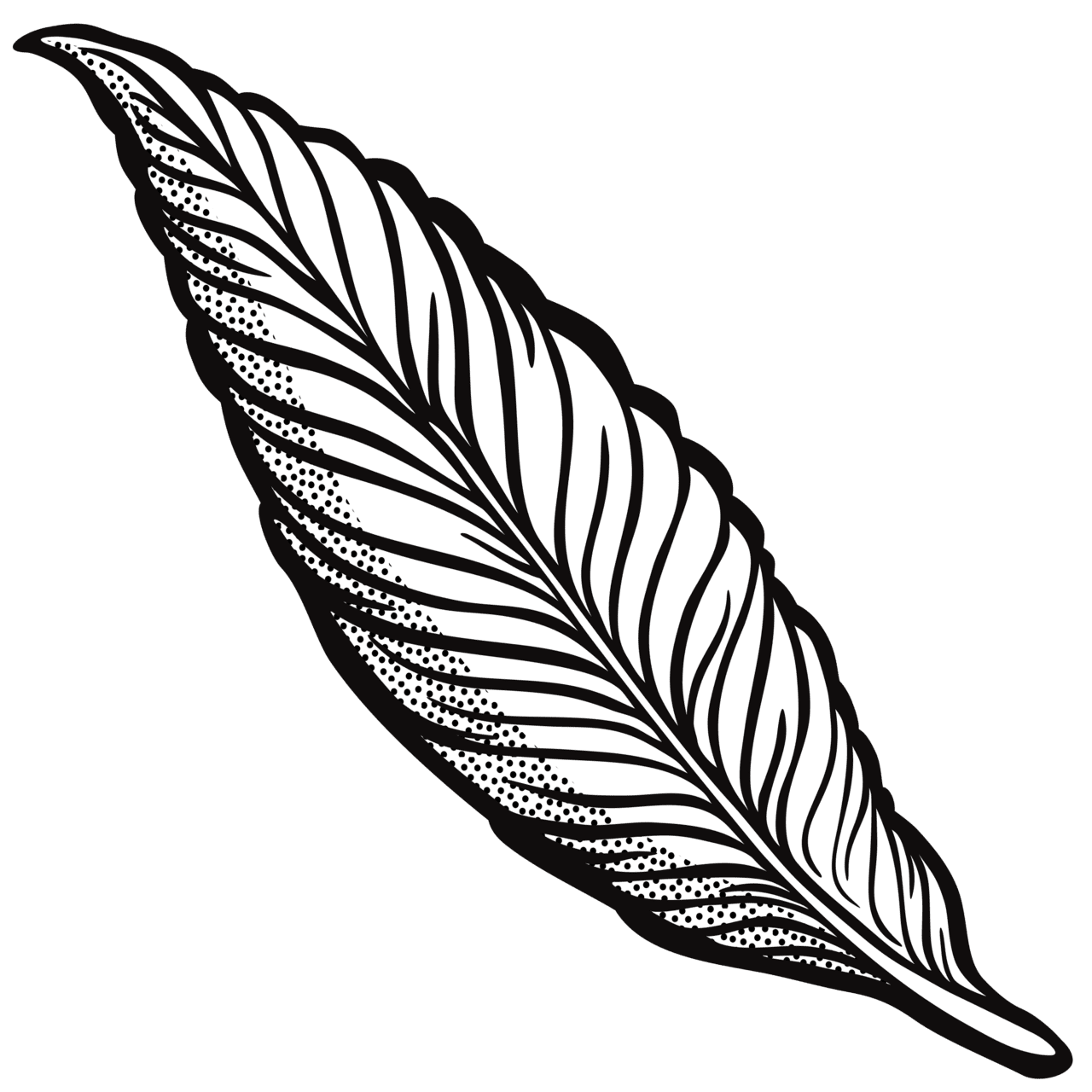 Feather lineart clipart transparent