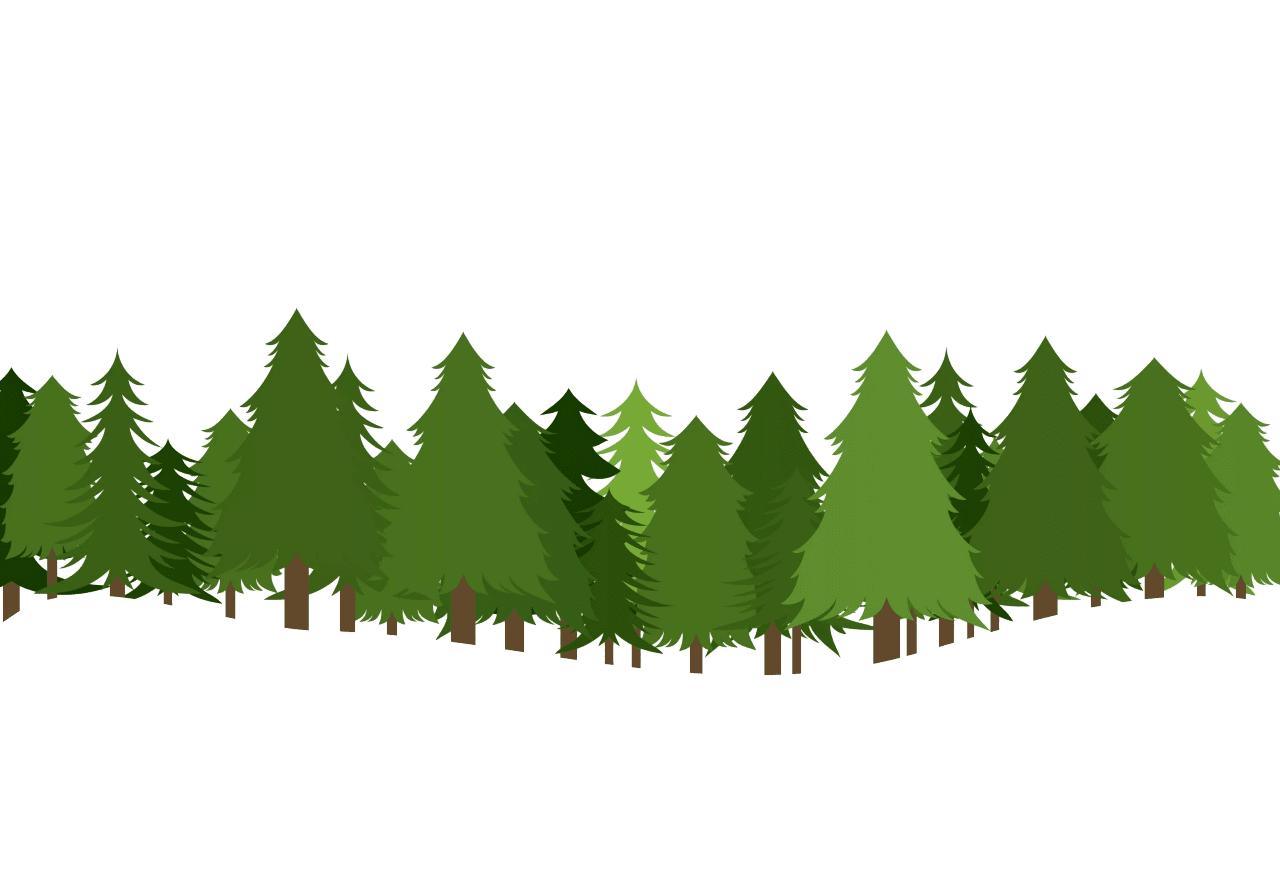 Christmas tree pine clipart forest photo