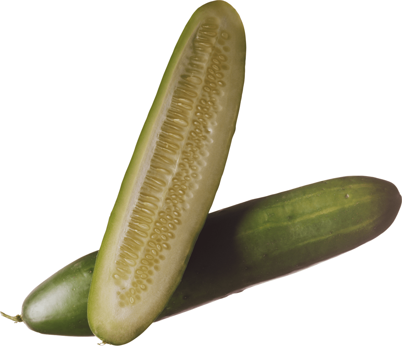 Pickle cucumber image for clipart 2