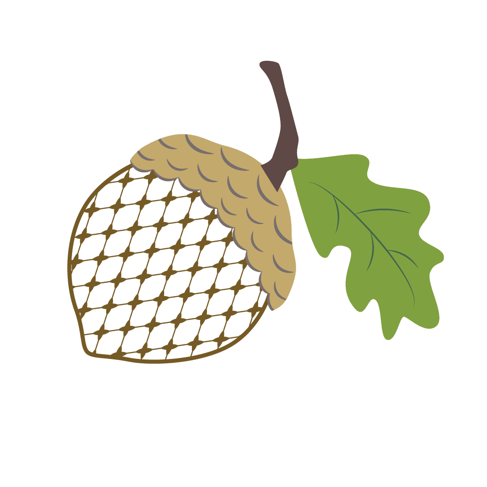 Chic acorn for print shuler studio clipart free