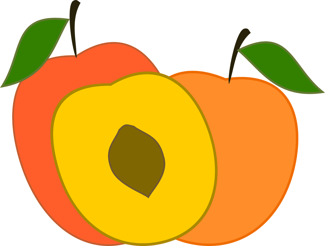 Peach es fruit vector graphic clipart