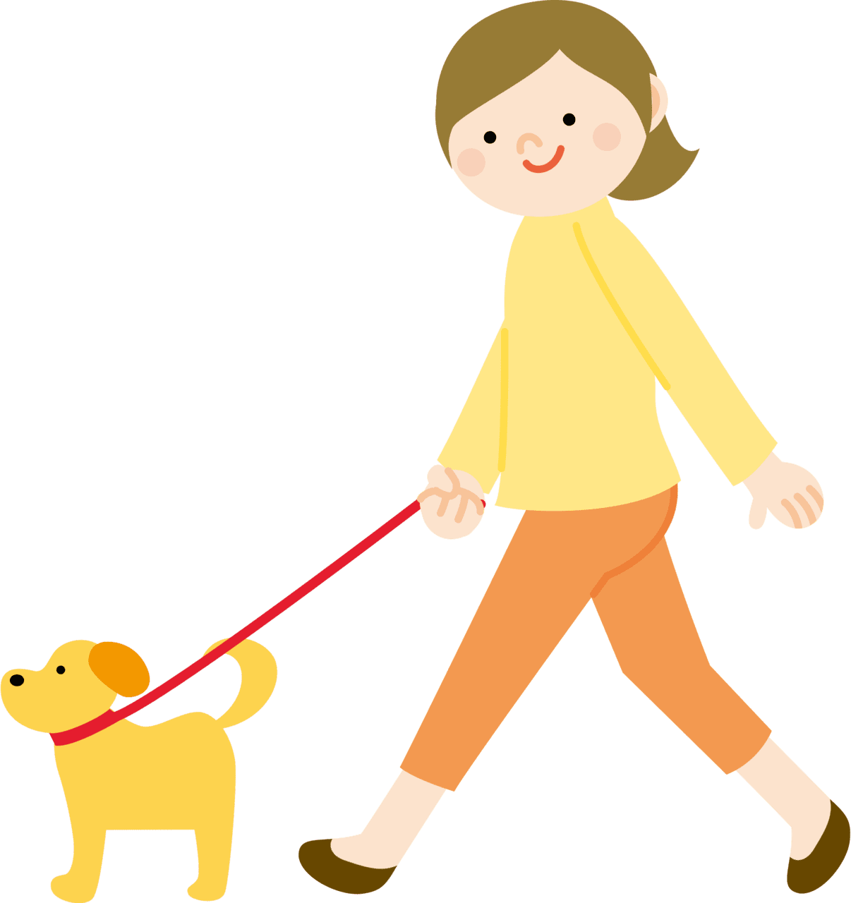 Woman walking dog vector clipart images