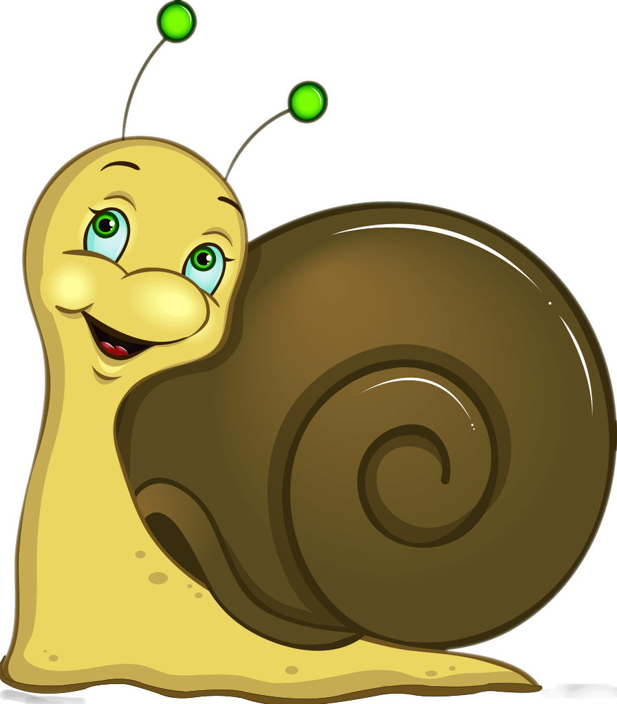 Snail pin page clipart free 3