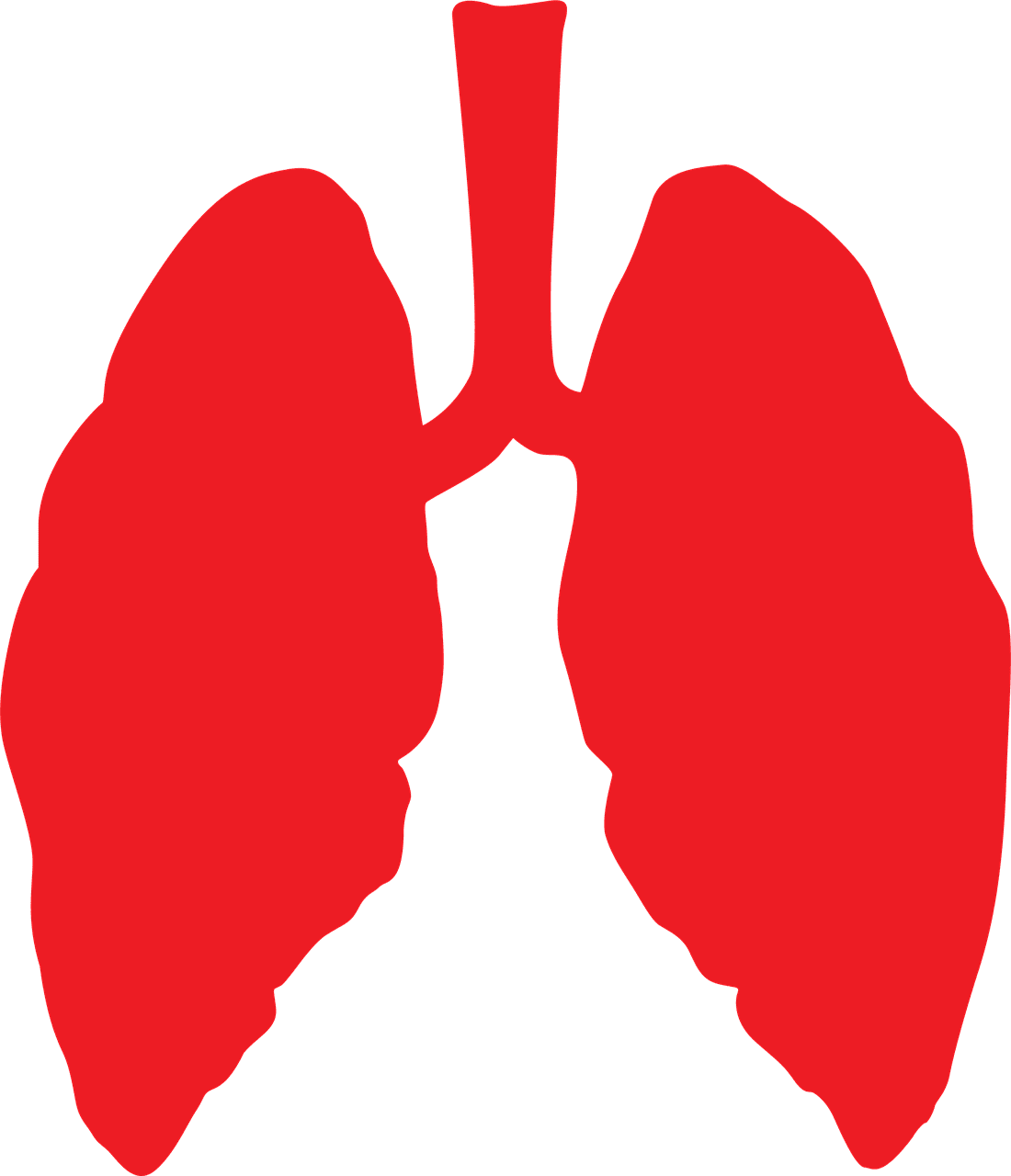 Lungs lung health image clipart