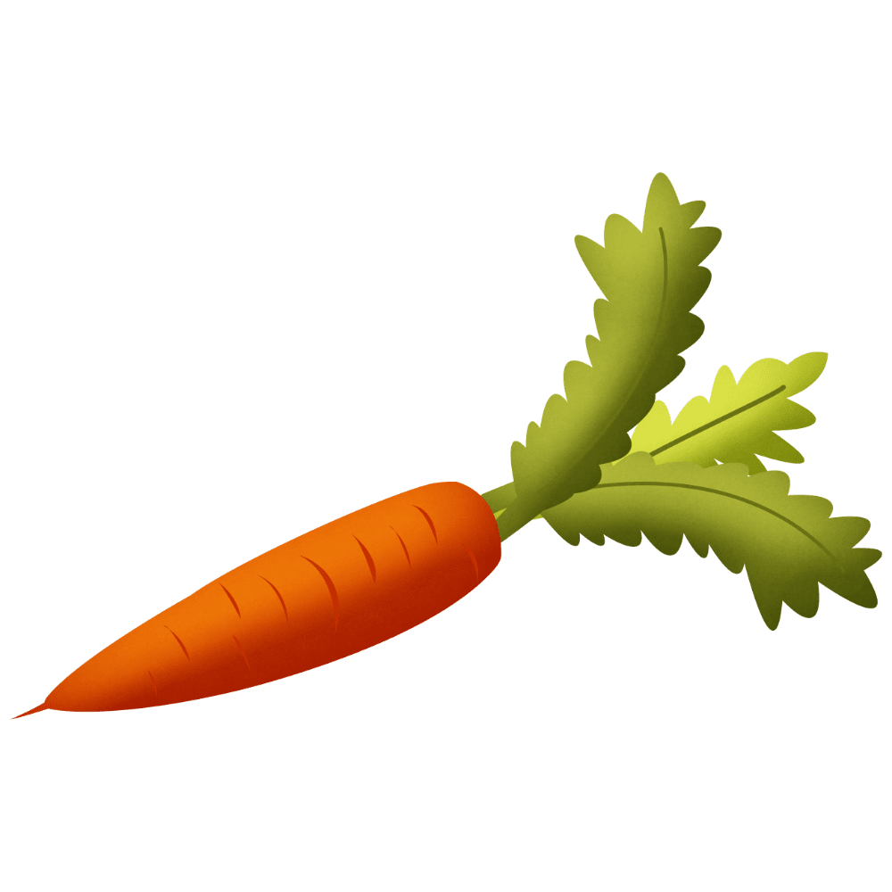 Vegetable carrot images hd photo clipart