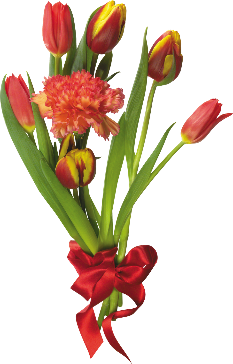 Flower bouquet of flowers clipart vector