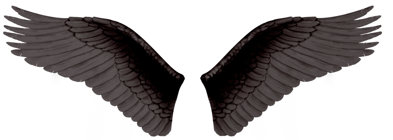 Angel wings black image for clipart