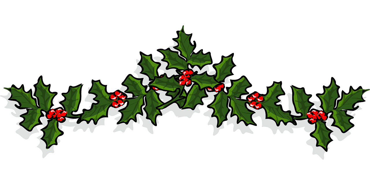 Mistletoe el acebo siembra cuidados riego sustrato plagas enfermedad clipart clip art