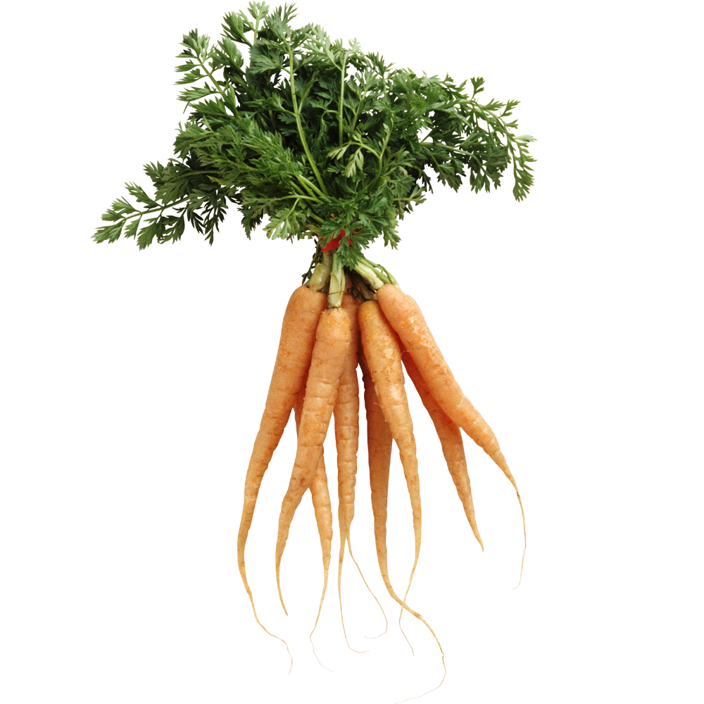 Vegetable carrot greens images hd photo clipart