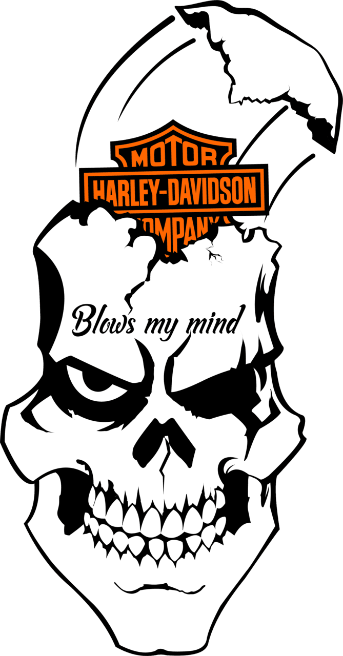 Bone pin by bruce jackson harley decals davidson bikes cliparts full size clipart pinclipart picture