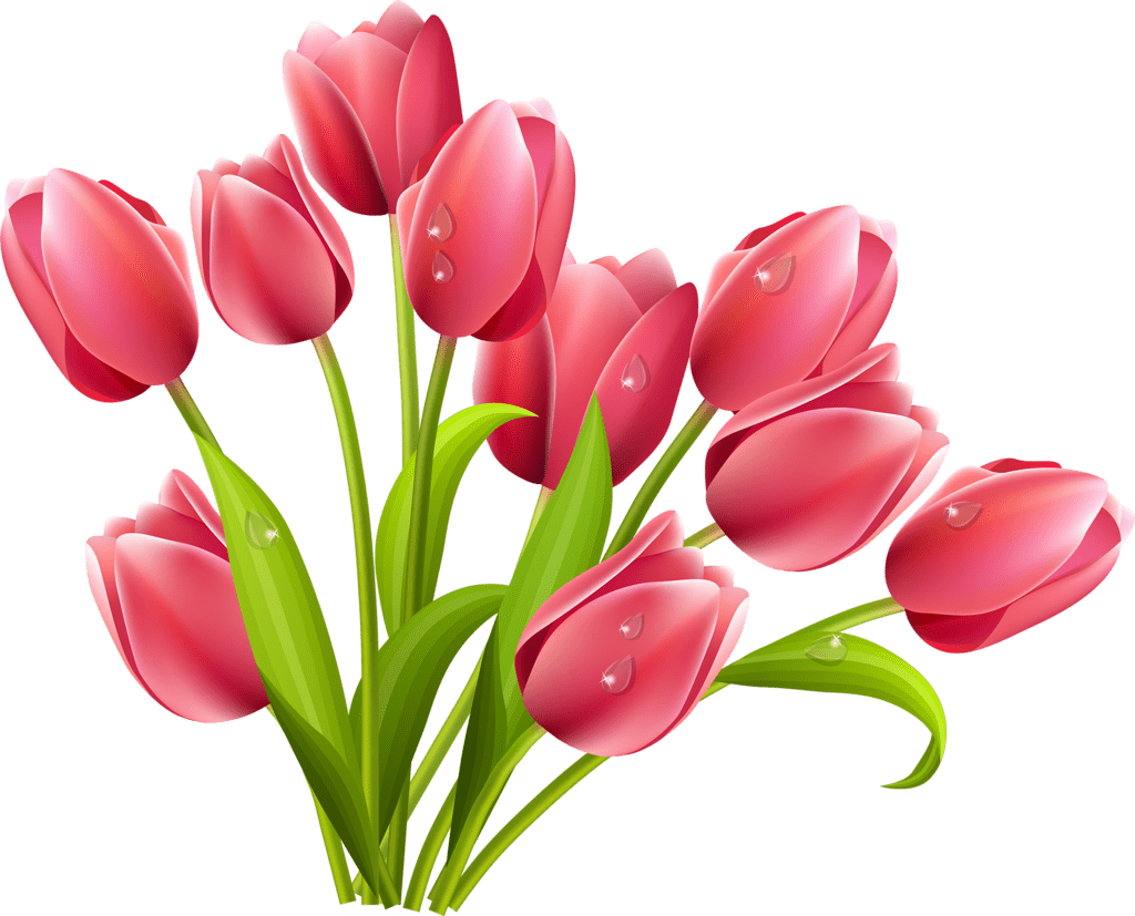 Tulip pin page clipart vector 3