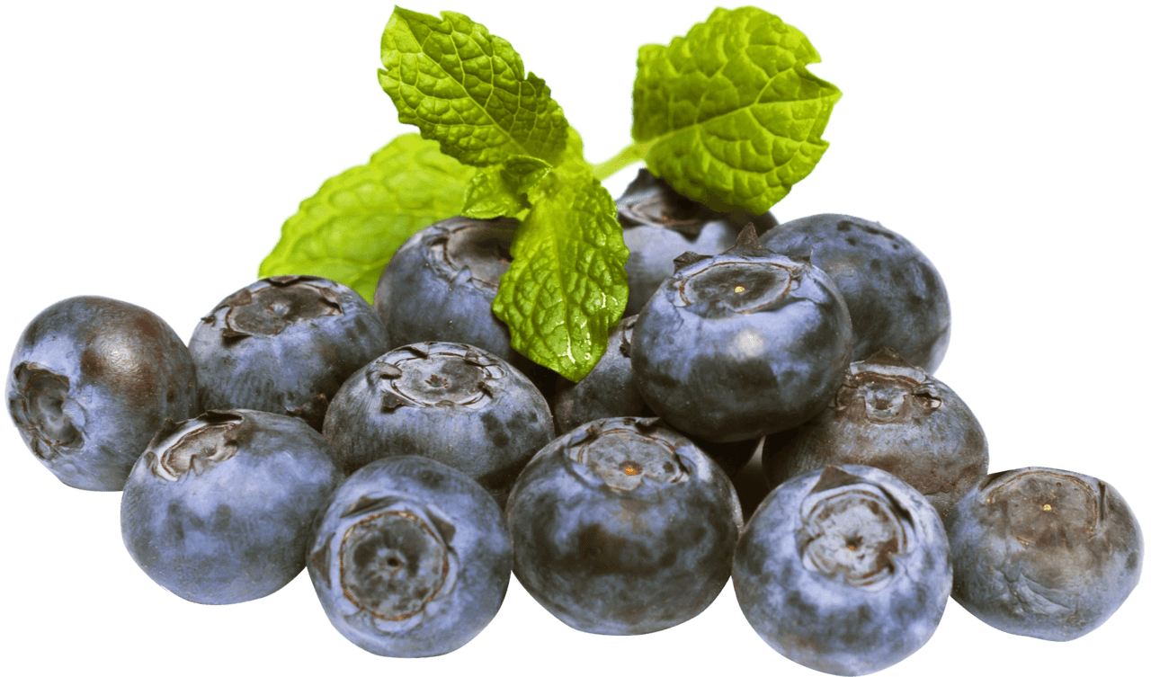 Blueberry images clipart