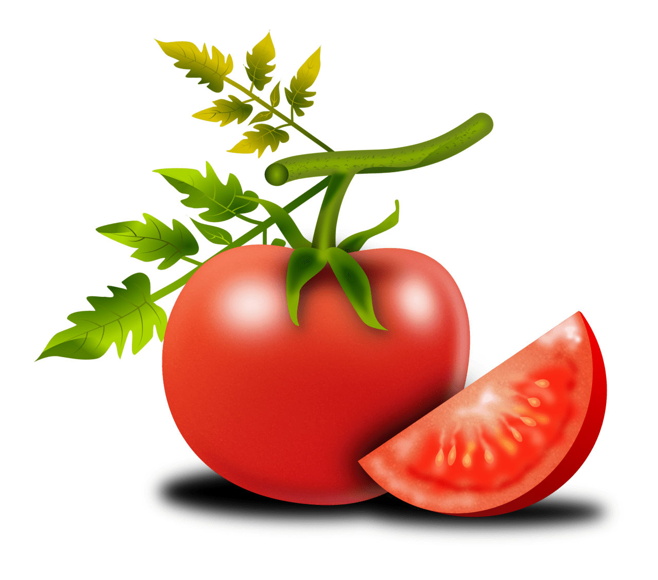 Tomato pin page clipart free