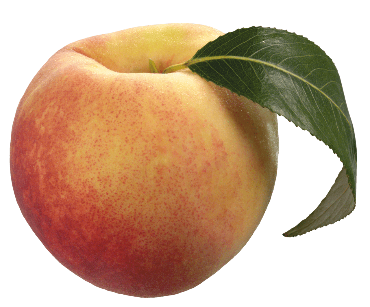 Peach background images clipart