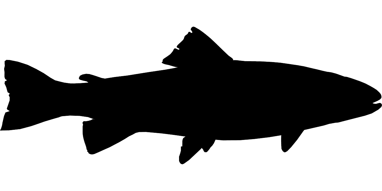 Fish black and white nature vector graphic clipart