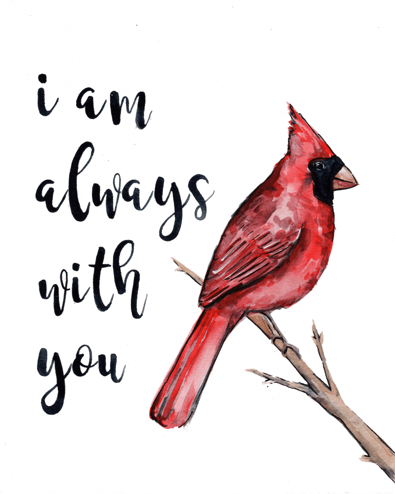 Cardinal small mini art prints society clipart transparent