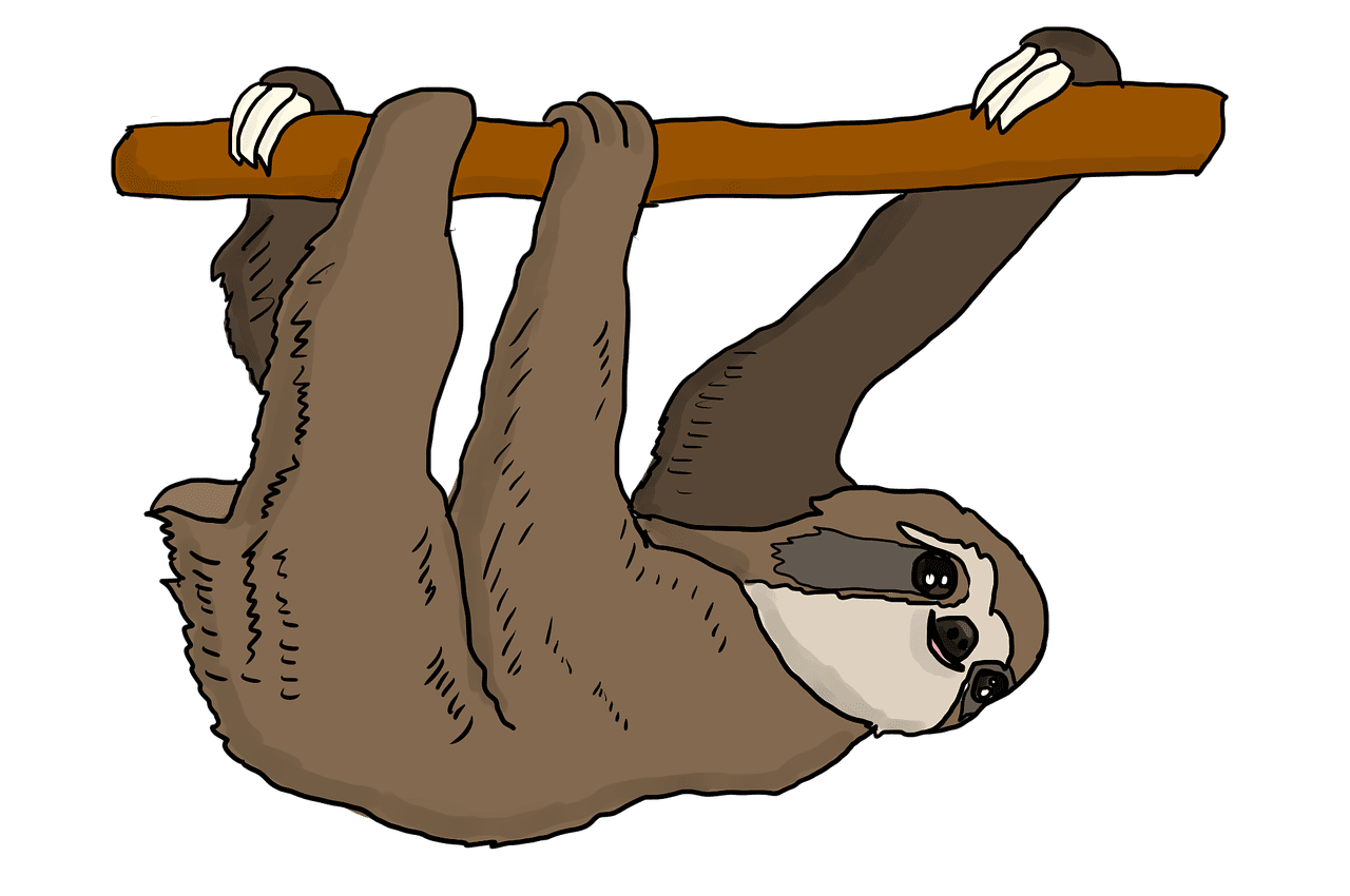 Sloth pin page clipart image