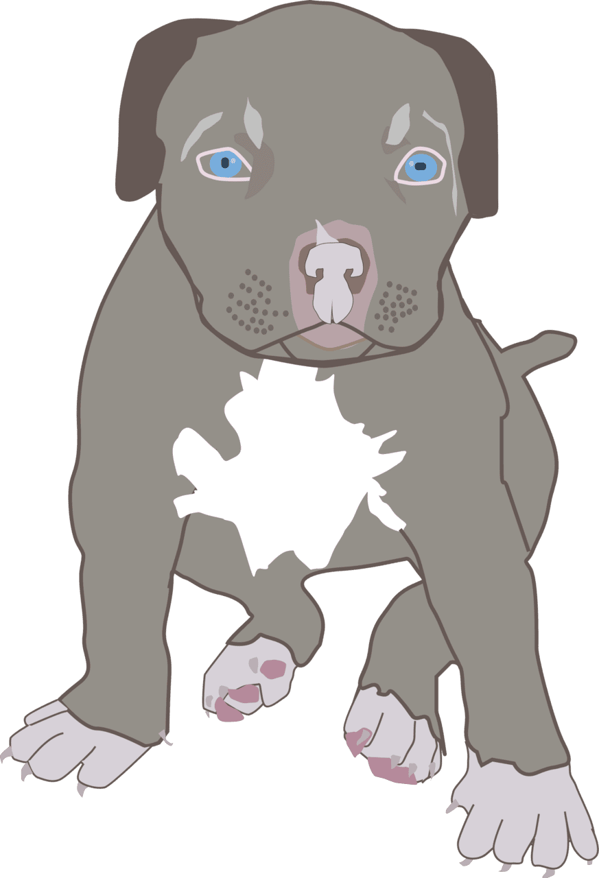 Canine pit bull puppy clipart picture