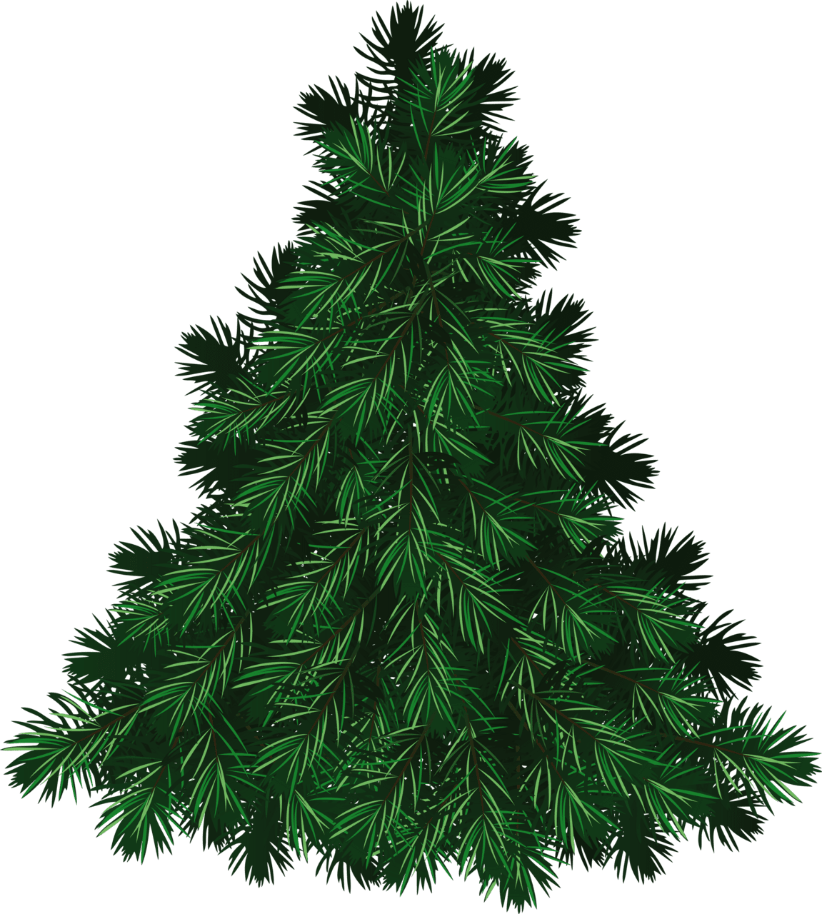 Pine tree fir clipart transparent